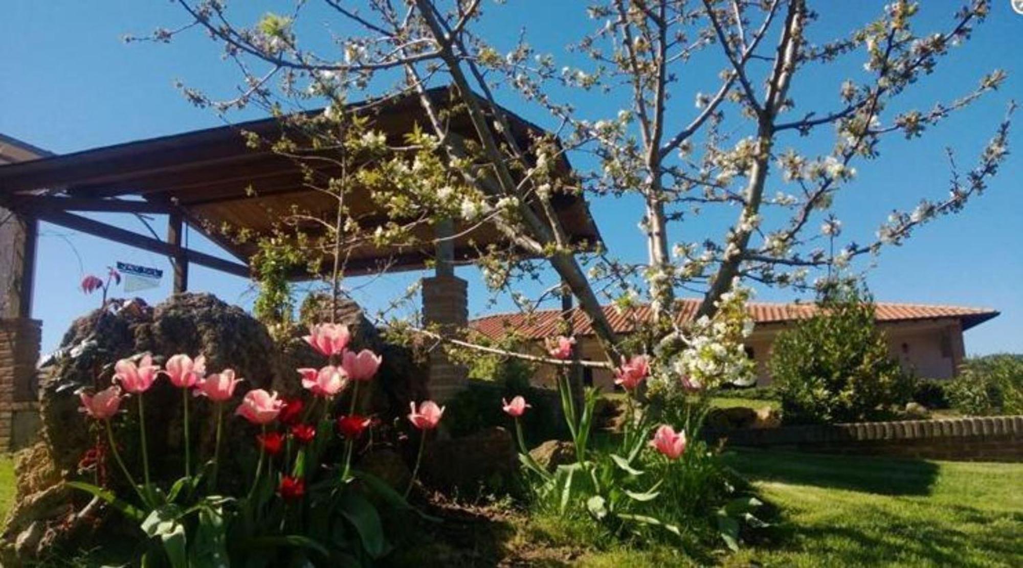 La Mandriana Villa Маса Маритима Екстериор снимка