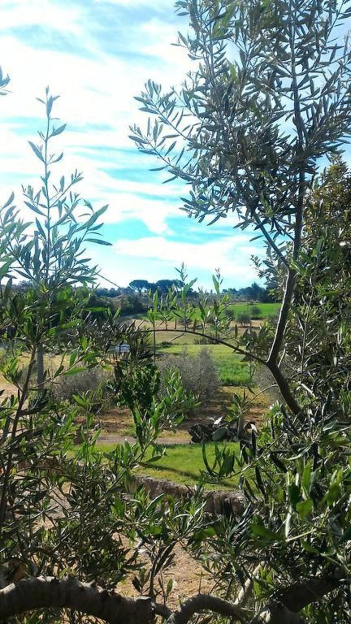 La Mandriana Villa Маса Маритима Екстериор снимка